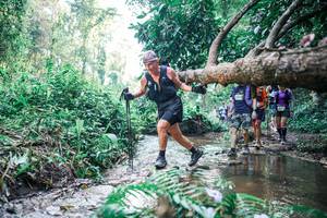 BIB: 
                            <button type="button" onclick="openModal(25451879)" class="btn btn-primary btn-sm float-right btn-popup" data-toggle="modal" data-target=".modal-high-quality">
                        <i class="fas fa-shopping-cart"></i> Add to Cart
                    </button>
                                            <button type="button" onclick="isThisMe(25451879, true)" class="btn btn-success btn-sm float-right btn-popup btn-isme hidden" data-toggle="tooltip" data-placement="bottom" title="นี่คือรูปของคุณใช่ไหม คลิกที่นี่เพื่อเอาเข้าอัลบั้ม">
                        <i class="fas fa-plus"></i> Add to album
                    </button>
                    <button type="button" onclick="isThisMe(25451879, false)" class="btn btn-warning btn-sm float-right btn-popup btn-isnotme hidden">
                        <i class="fas fa-ban"></i> Remove from album
                    </button>